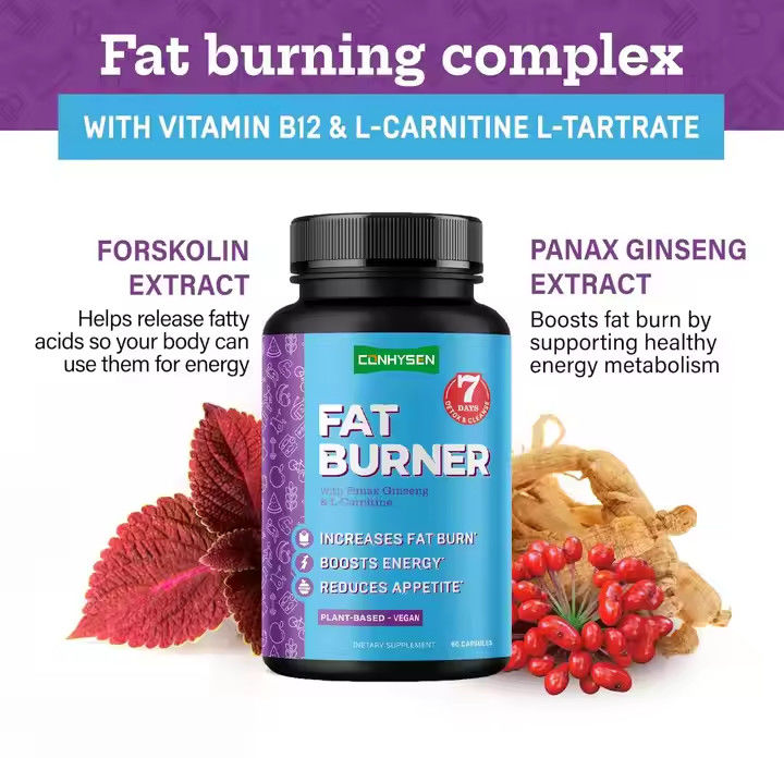 OEM Logo แคปซูลเผาไขมันที่มีวิตามิน B12 L-Carnitine L-Tartrate ลดความอยากอาหาร