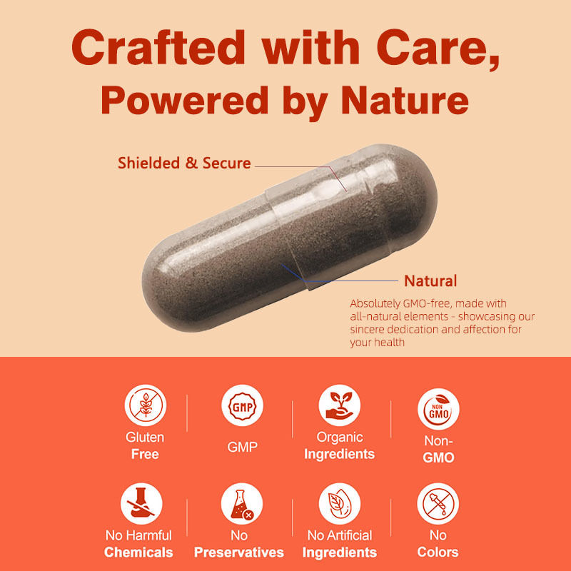 แคปซูลซอว์ปาลเมตโต Non GMO 500 มก. สนับสนุนความสมดุลของฮอร์โมน สุขภาพเส้นผม