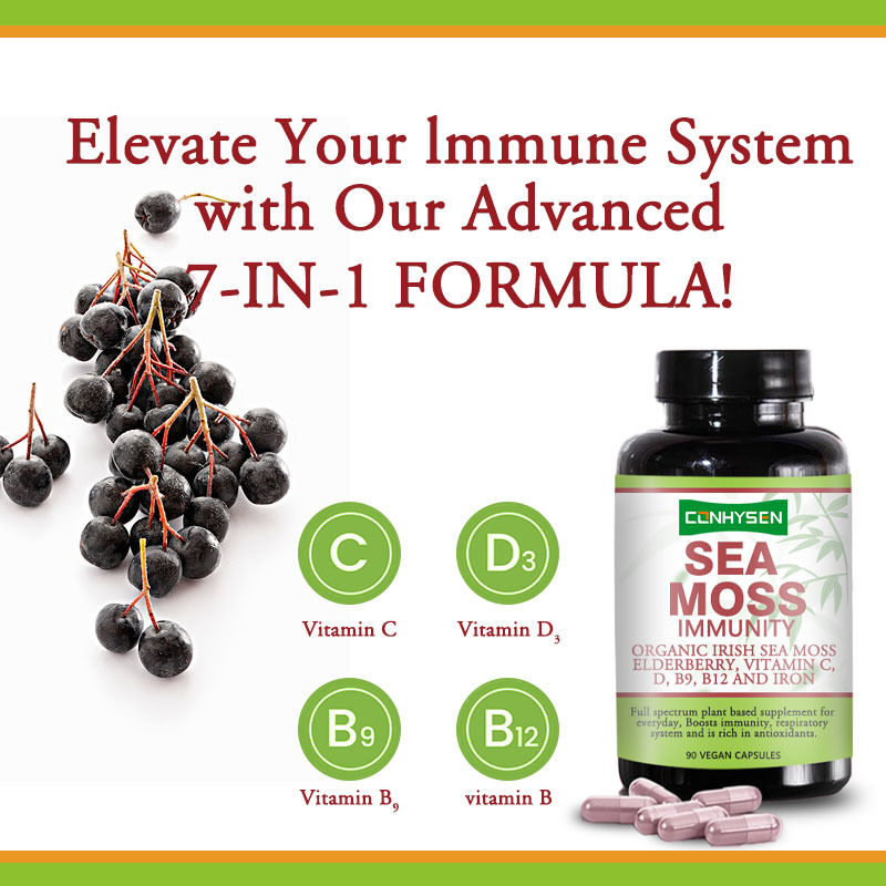 สูตรเฉพาะ 7-in-1 เสริมสร้างระบบทางเดินหายใจจากโรงงานผลิต Sea Moss Capsules 90 แคปซูล