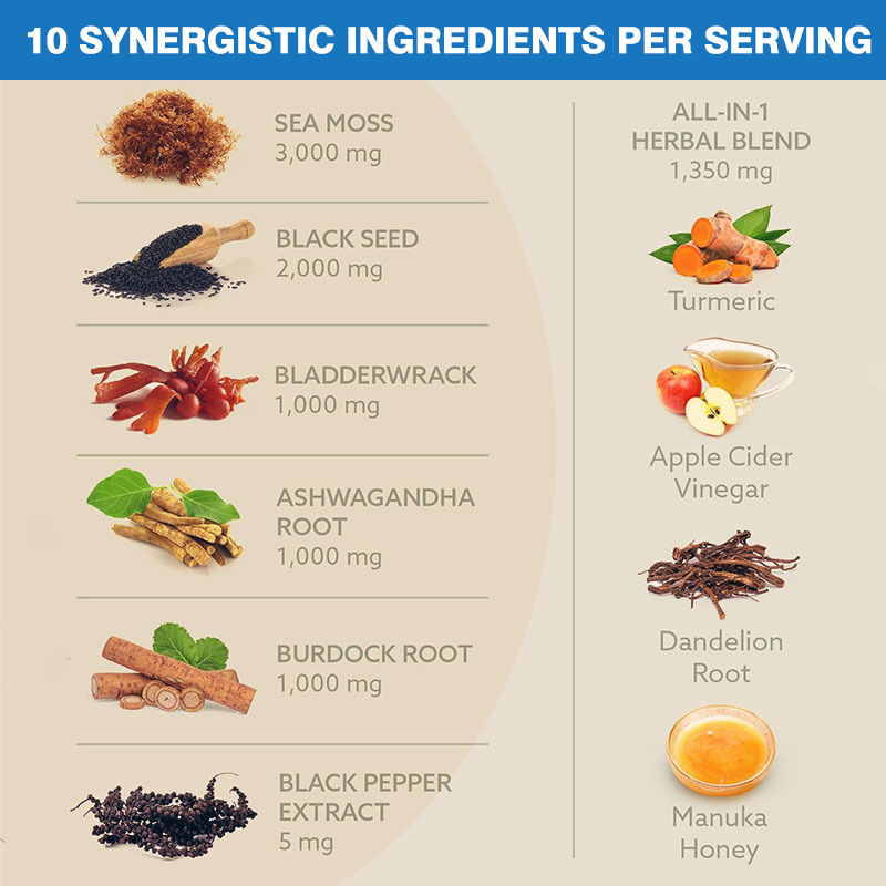 ฉลากกำหนดเอง 10-In-1 Blend ส่งเสริมระบบภูมิคุ้มกัน แคปซูล Sea Moss อาหารเสริม Ashwagandha