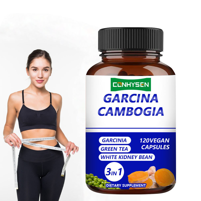 ผลิตภัณฑ์เสริมอาหาร Garcinia Cambogia Capsules 3-in-1 สำหรับแบรนด์ส่วนตัว ช่วยรักษาสมดุลของร่างกายด้วยชาเขียว