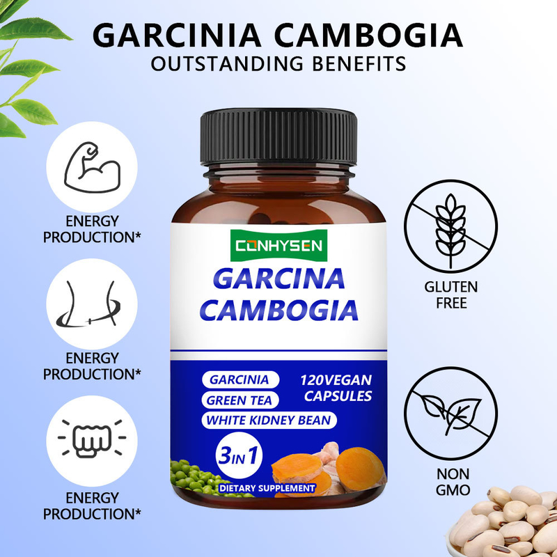 ผลิตภัณฑ์เสริมอาหาร Garcinia Cambogia Capsules 3-in-1 สำหรับแบรนด์ส่วนตัว ช่วยรักษาสมดุลของร่างกายด้วยชาเขียว
