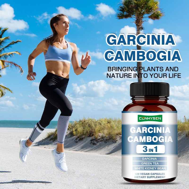แคปซูล Garcinia Cambogia แบบกำหนดเองระดับพรีเมียม พร้อมสารสกัดจากถั่วขาวเพื่อการผลิตพลังงาน