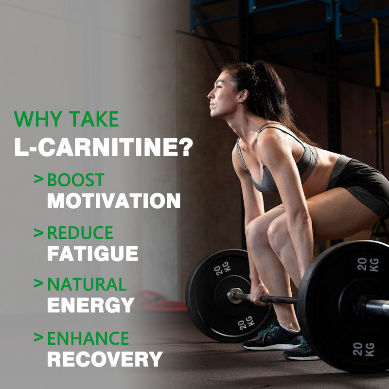 การปรับแต่งแบบขายส่ง L-Carnitine Liquid Shots ส่งเสริมการเผาผลาญไขมันและการผลิตพลังงาน
