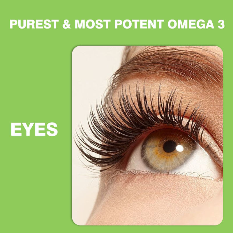 กัมมี่ Omega 3-6-9 ขายดีที่สุดสำหรับเด็กและผู้ใหญ่ อาหารเสริมวิตามินสำหรับสมองและหัวใจ อาหารเสริม DHA สำหรับวัยรุ่น