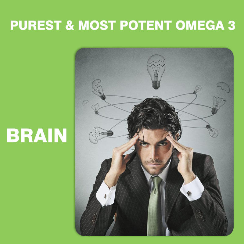 กัมมี่ Omega 3-6-9 ขายดีที่สุดสำหรับเด็กและผู้ใหญ่ อาหารเสริมวิตามินสำหรับสมองและหัวใจ อาหารเสริม DHA สำหรับวัยรุ่น