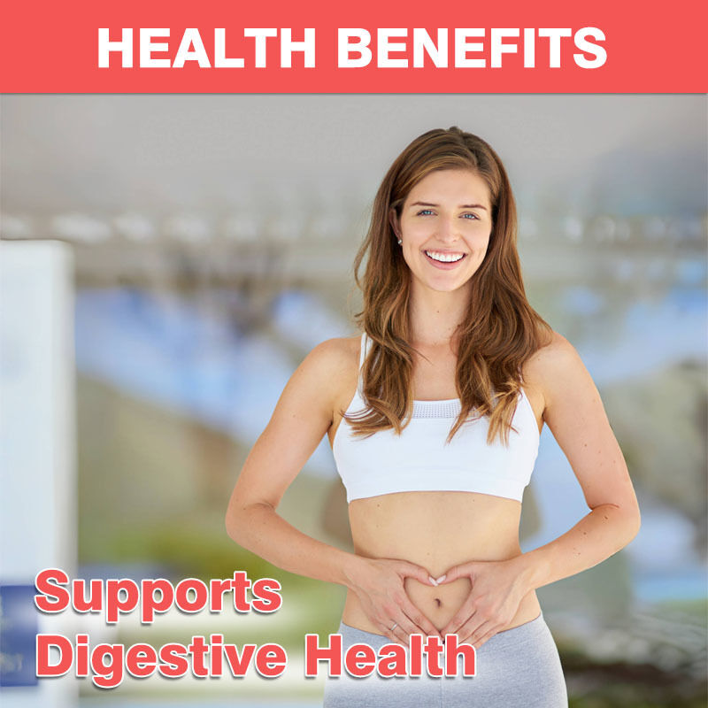 OEM/ODM กัมมี่พรีไบโอติกและโปรไบโอติก 4g เสริมภูมิคุ้มกัน 60 พันล้าน CFU ช่วยเสริมสุขภาพลำไส้ พร้อมคุณสมบัติสารต้านอนุมูลอิสระสำหรับผู้ใหญ่