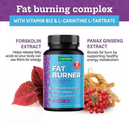 OEM Logo แคปซูลเผาไขมันที่มีวิตามิน B12 L-Carnitine L-Tartrate ลดความอยากอาหาร